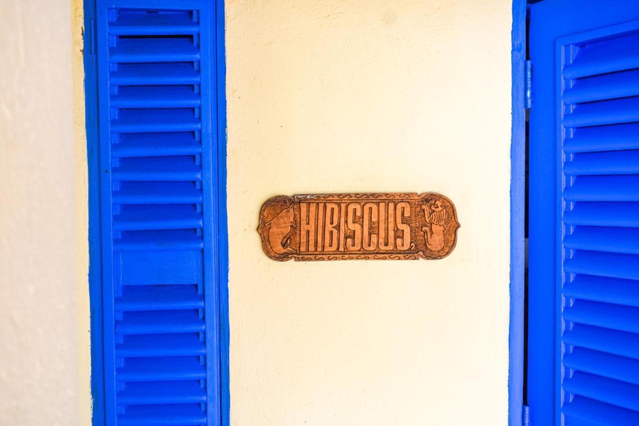 Hibiscus Beach House Pangani Exteriér fotografie