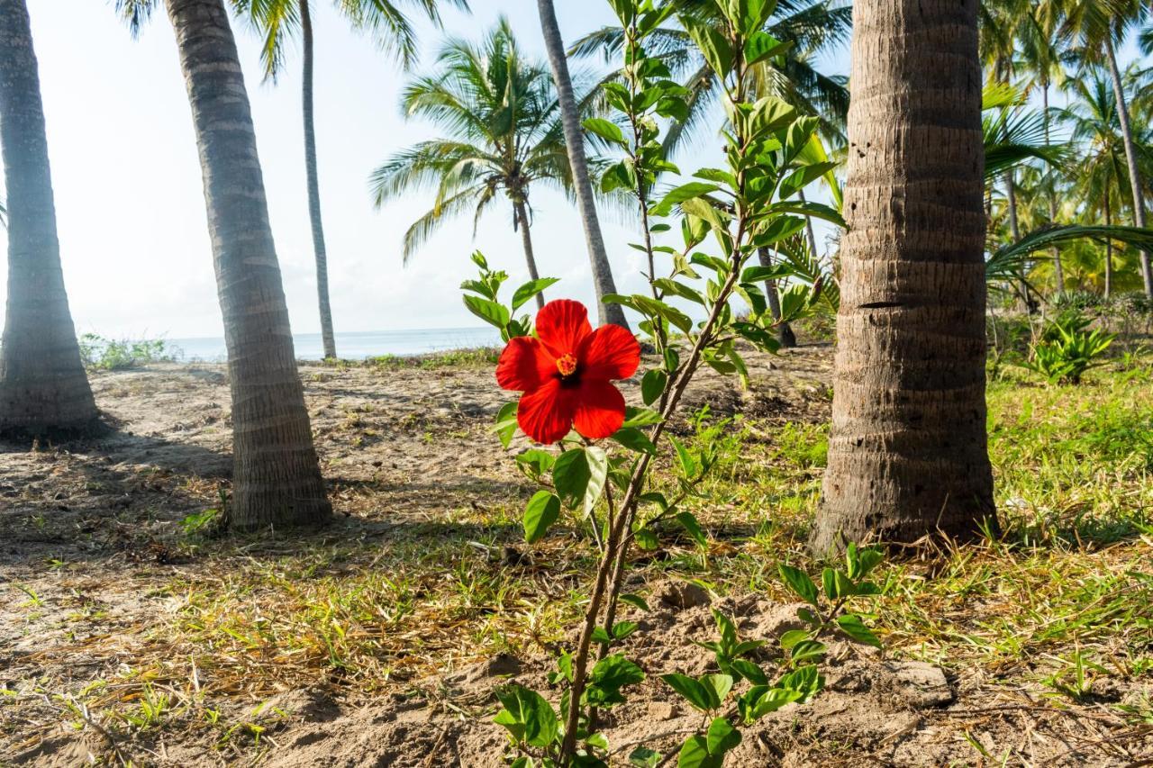 Hibiscus Beach House Pangani Exteriér fotografie