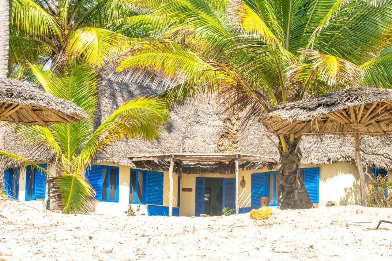 Hibiscus Beach House Pangani Exteriér fotografie